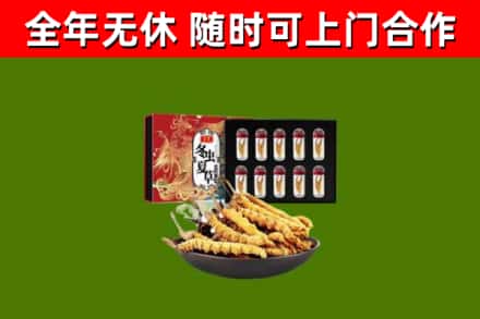 维西县回收冬虫夏草价格